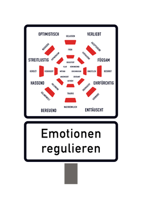 Emotion Regulation.png