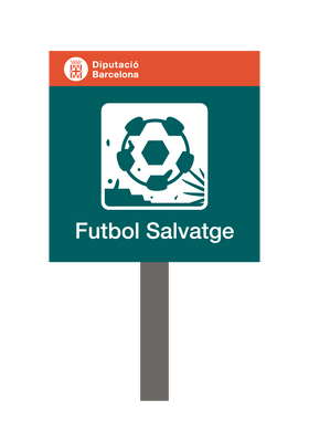 SOC-Wild soccer.png